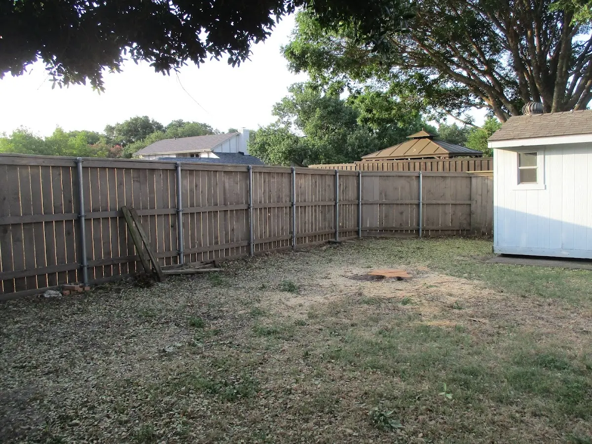 Cleared yard after professional tree removal in East Rochester