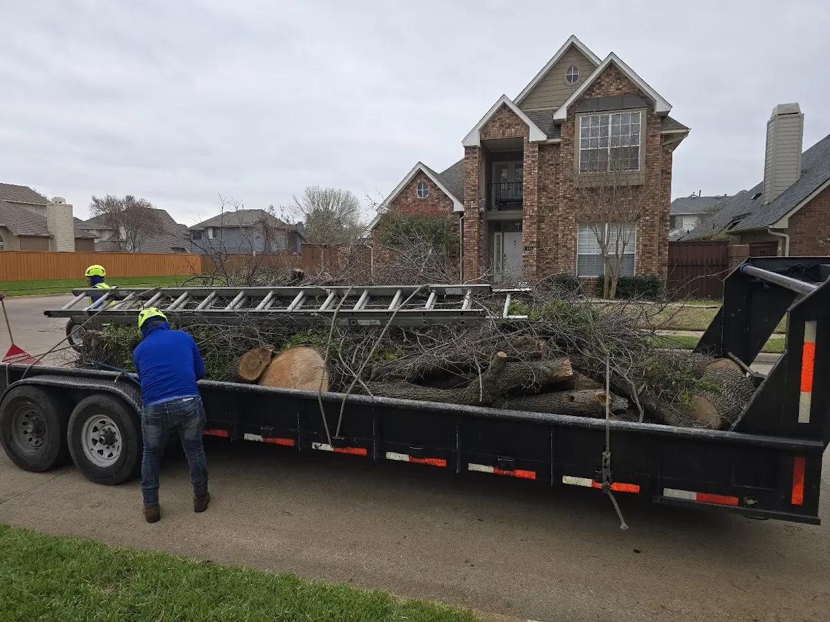 Expert Tree Fertilization with proper safety equipment in East Rochester